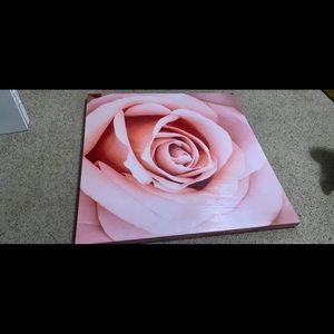 Pink rose wall canvas art
